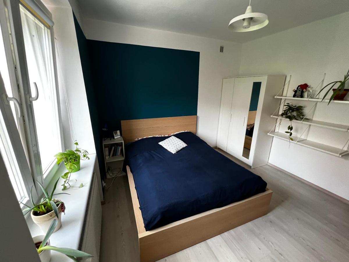 Przyjazne Mieszkanie W Centrum Gdanska公寓 外观 照片
